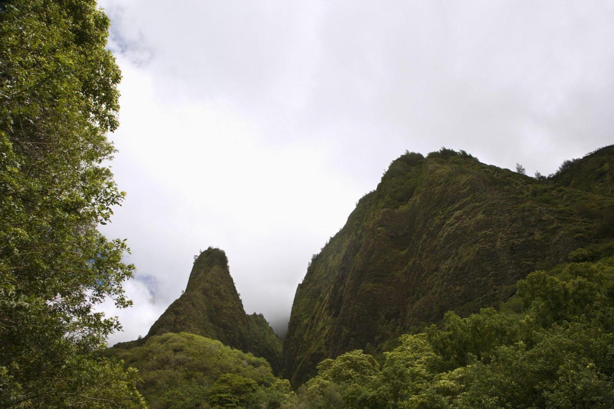Wailuku233 Market Street Unit A别墅 外观 照片